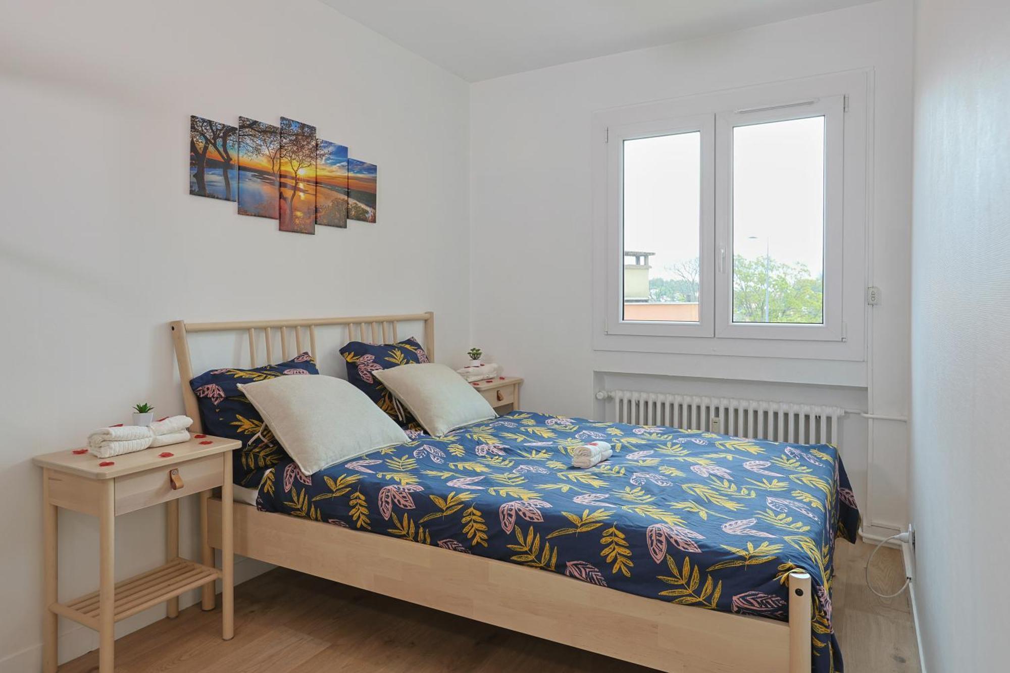 Evasion Pro & Fun A Saint-Etienne - Proche Hpl Apartment Exterior foto